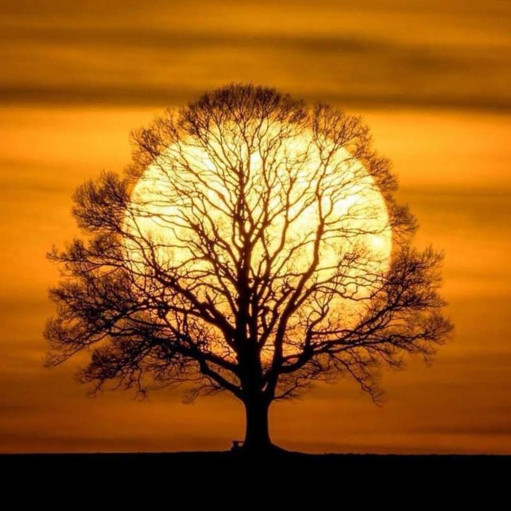 Meet your Posher, Sue